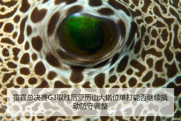 雷霆总决赛G3取胜后亚历山大错位单打能否继续撬动防守调整